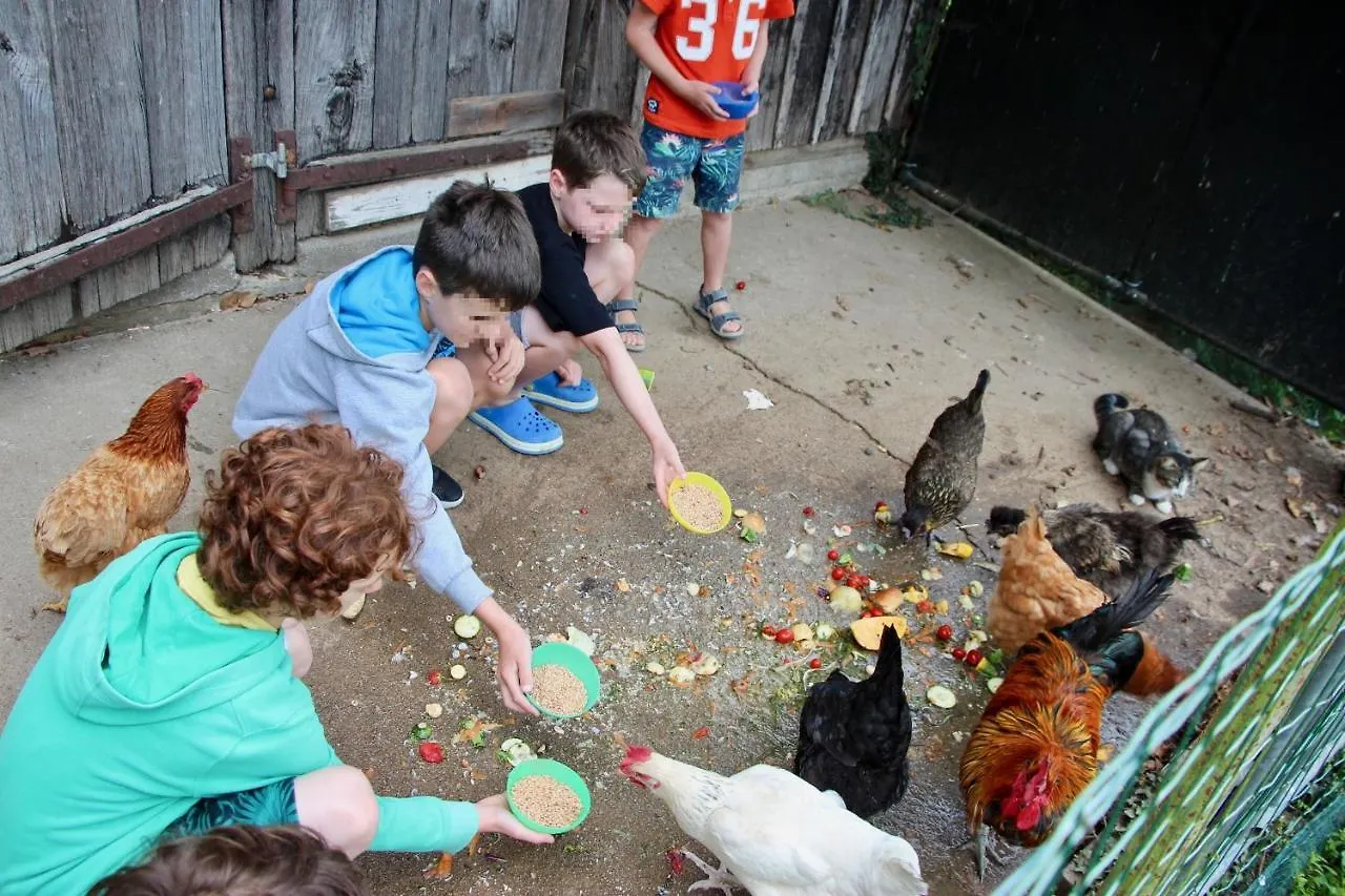 Gite Pomme - Les Gites De La Lohuas Les Champs-Geraux Holiday home